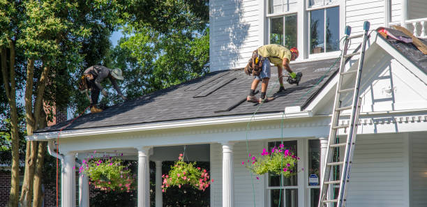 Professional Roofing Contractor in Cottonwood, MN